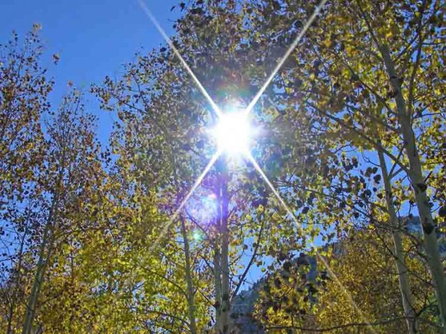 40 jubilum aspen delegation 044